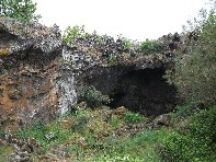 otta Intraleo-20100515 007